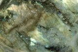 Flashy, Free-Standing Polished Labradorite - Madagascar #219683-2